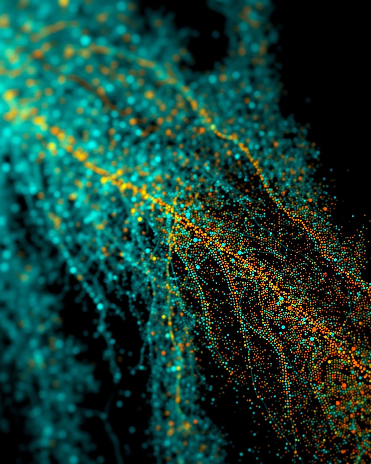 Single-cell & Spatial Biology